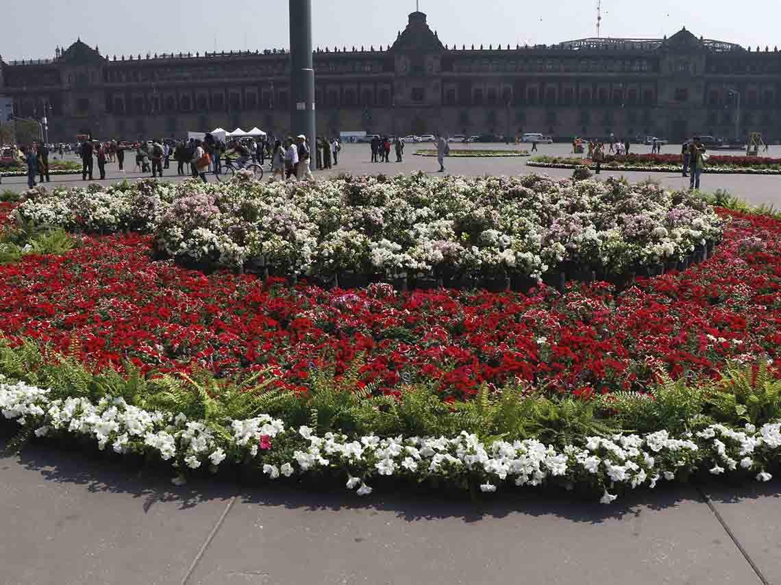 Celebra San Valentín en el jardín monumental del Zócalo