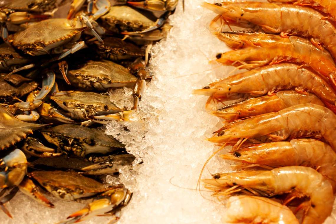 pardo tienda de pescados y mariscos