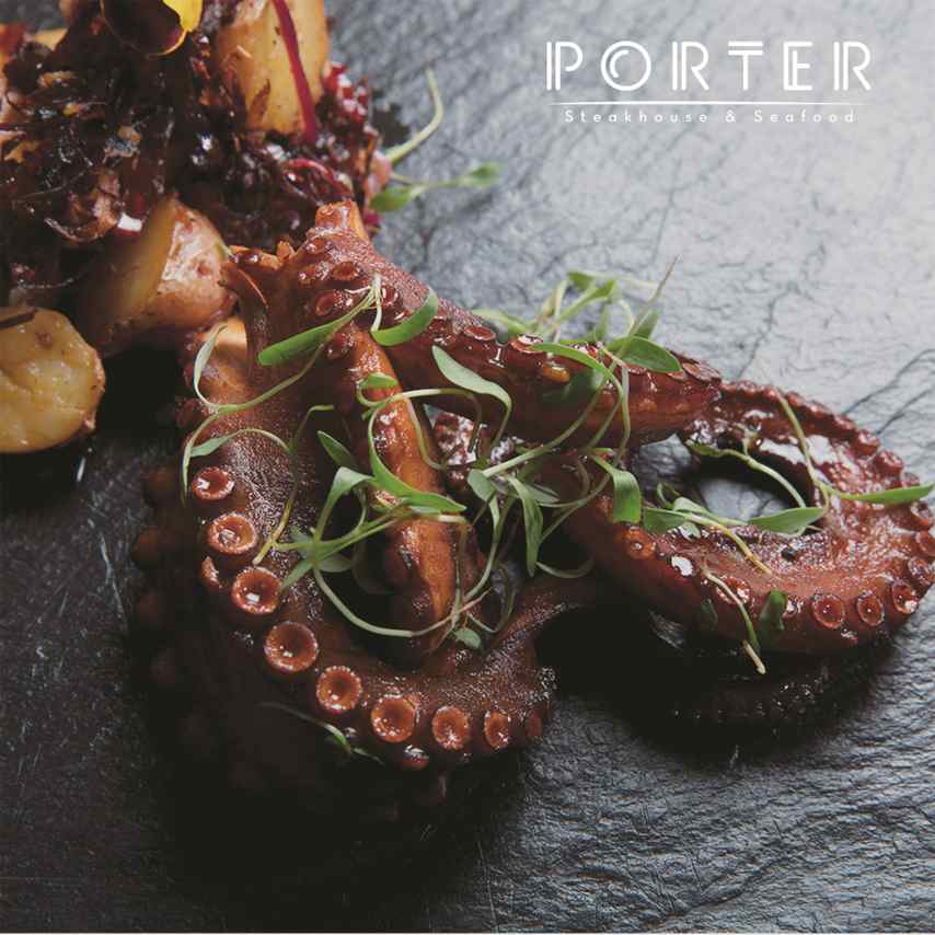 porter pulpo