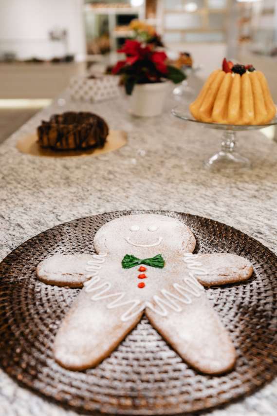 salve casa niza ginger man