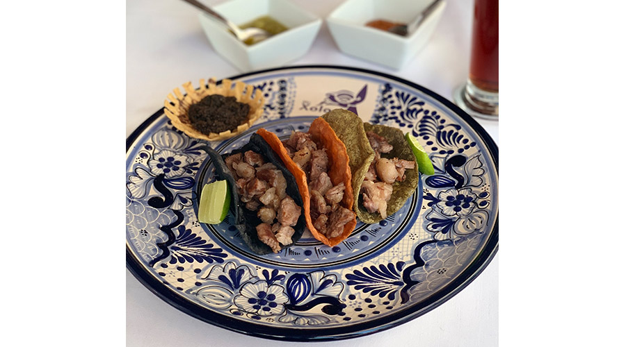 tacos-mr-xolotl-restaurante-tradicion-mexicana
