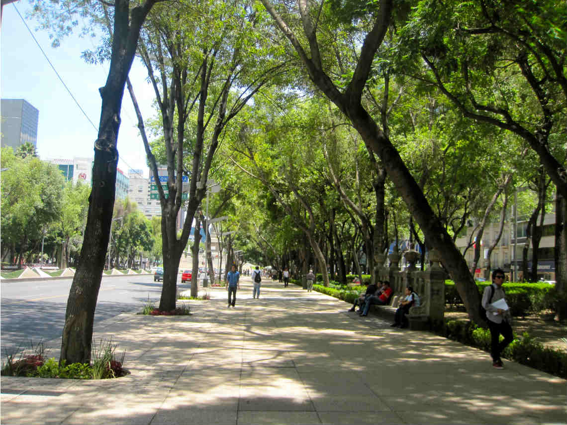 1er-festival-de-flores-de-primavera-en-paseo-de-la-reforma