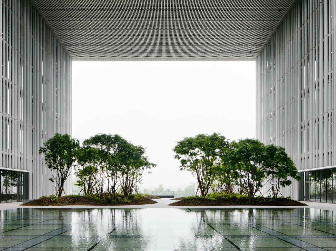 Exposición de David Chipperfield en CDMX