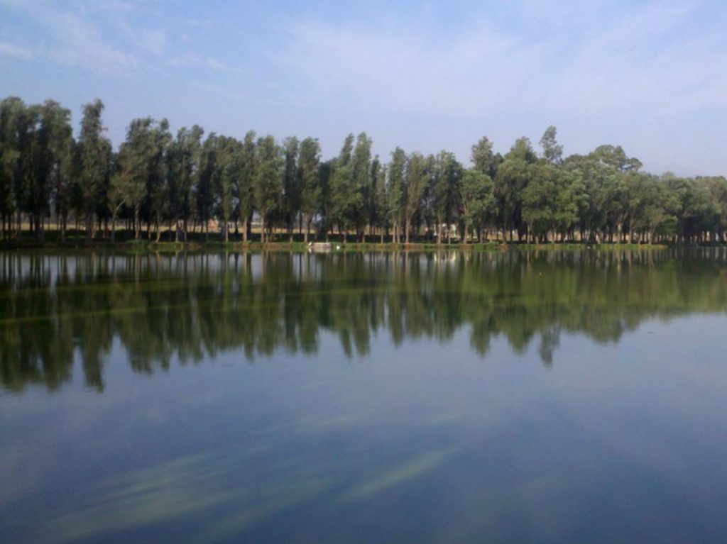 Festival de la Primavera en Tláhuac bosque tlahuac