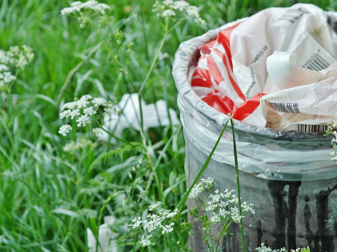 Festival de Primavera 2019 recoge la basura