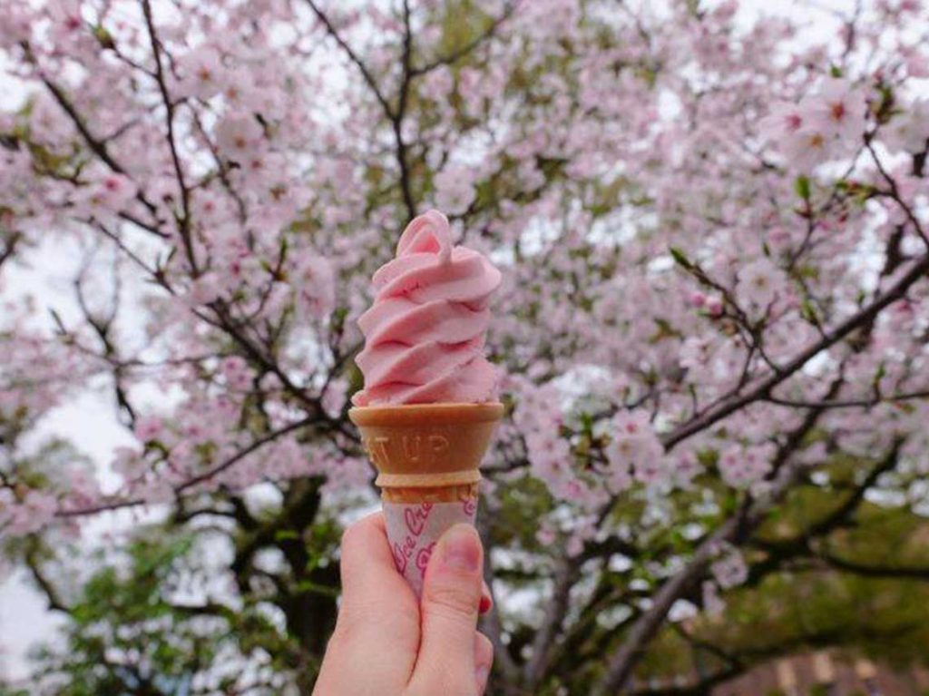 Festival de Sake y Sakura 2019 helado rosa