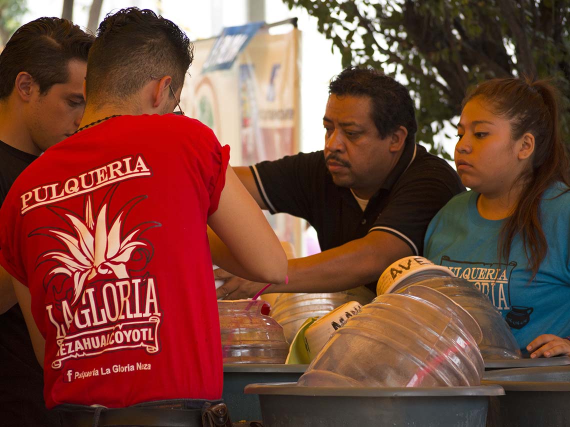 Festival Gastronómico de Pulque y Mezcal más Cerveza Artesanal 3