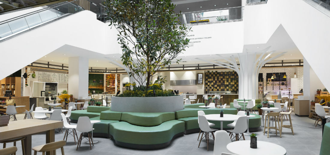 WELLNESS-PALACIO