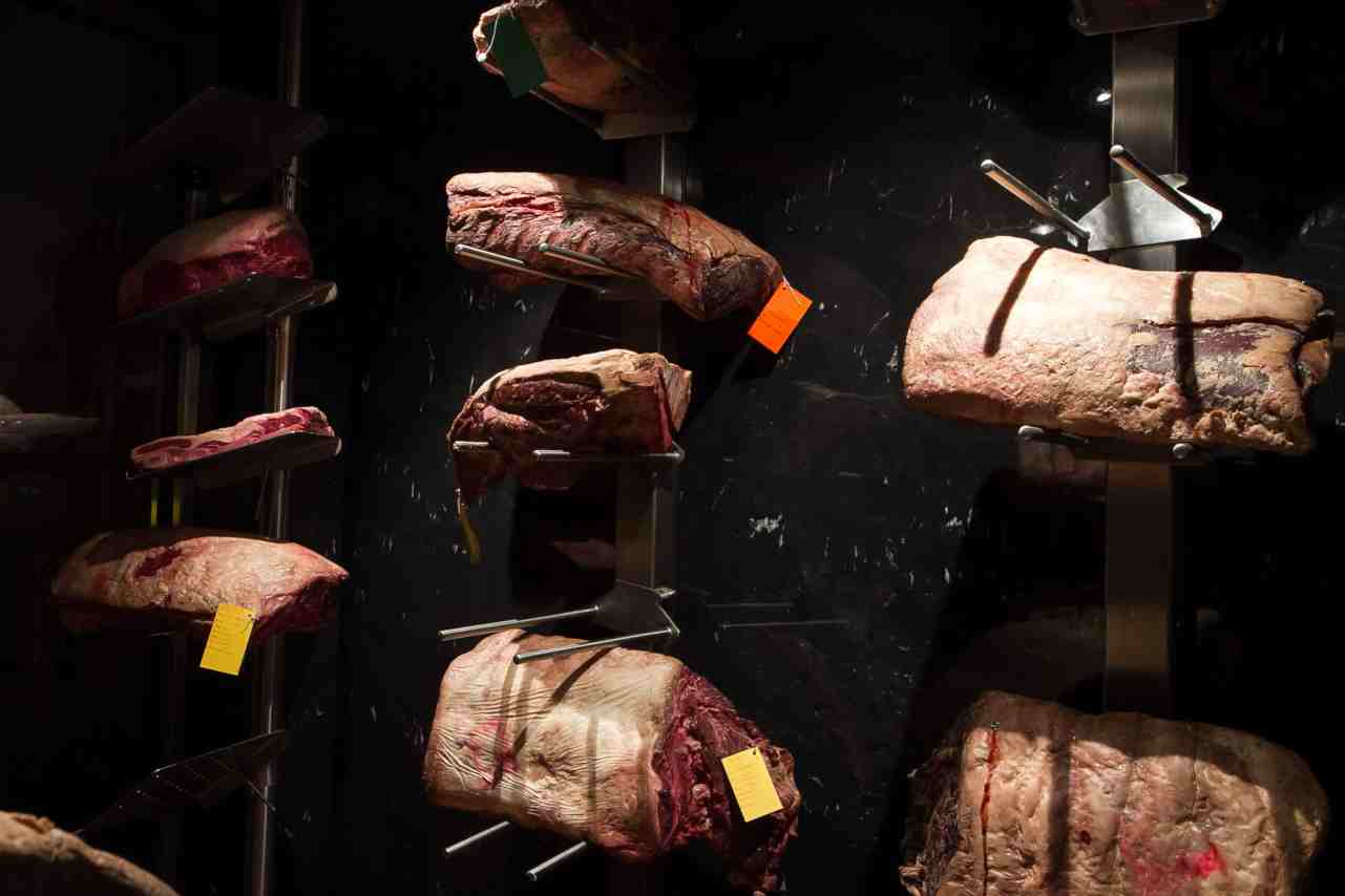 carnivoro-camara-carnes