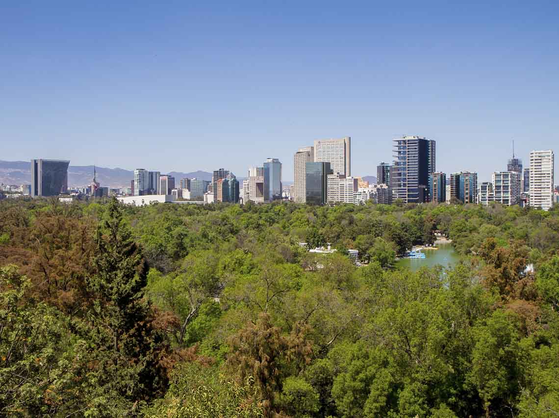 Chapultepec se convertirá en el espacio artístico y cultural más grande del mundo 0