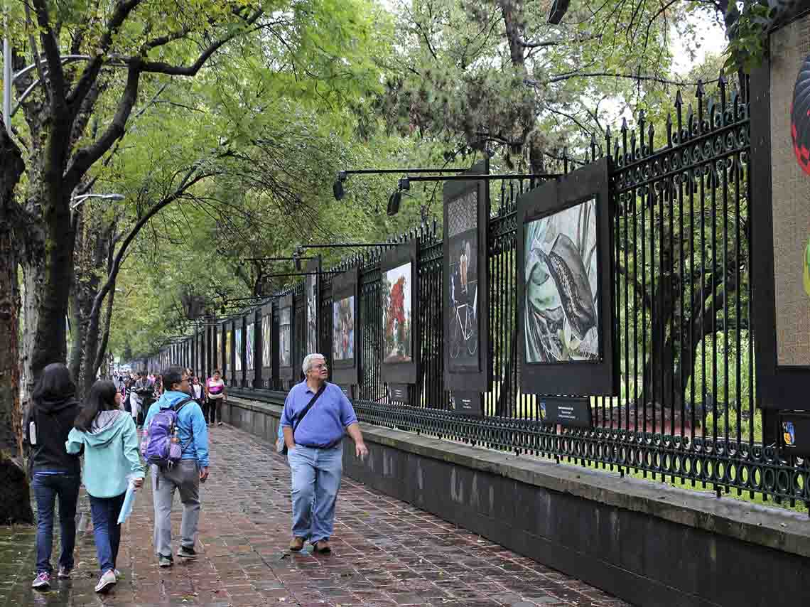 Chapultepec se convertirá en el espacio artístico y cultural más grande del mundo 1