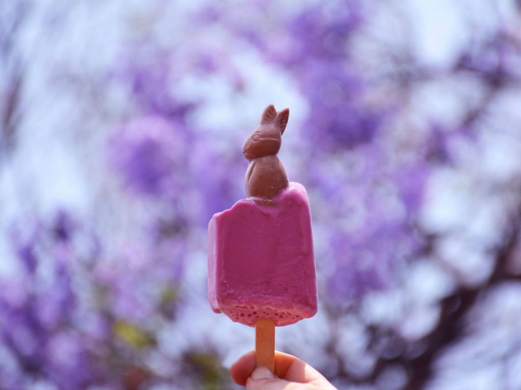 Conejo Jacarandoso paleta de jacarandas