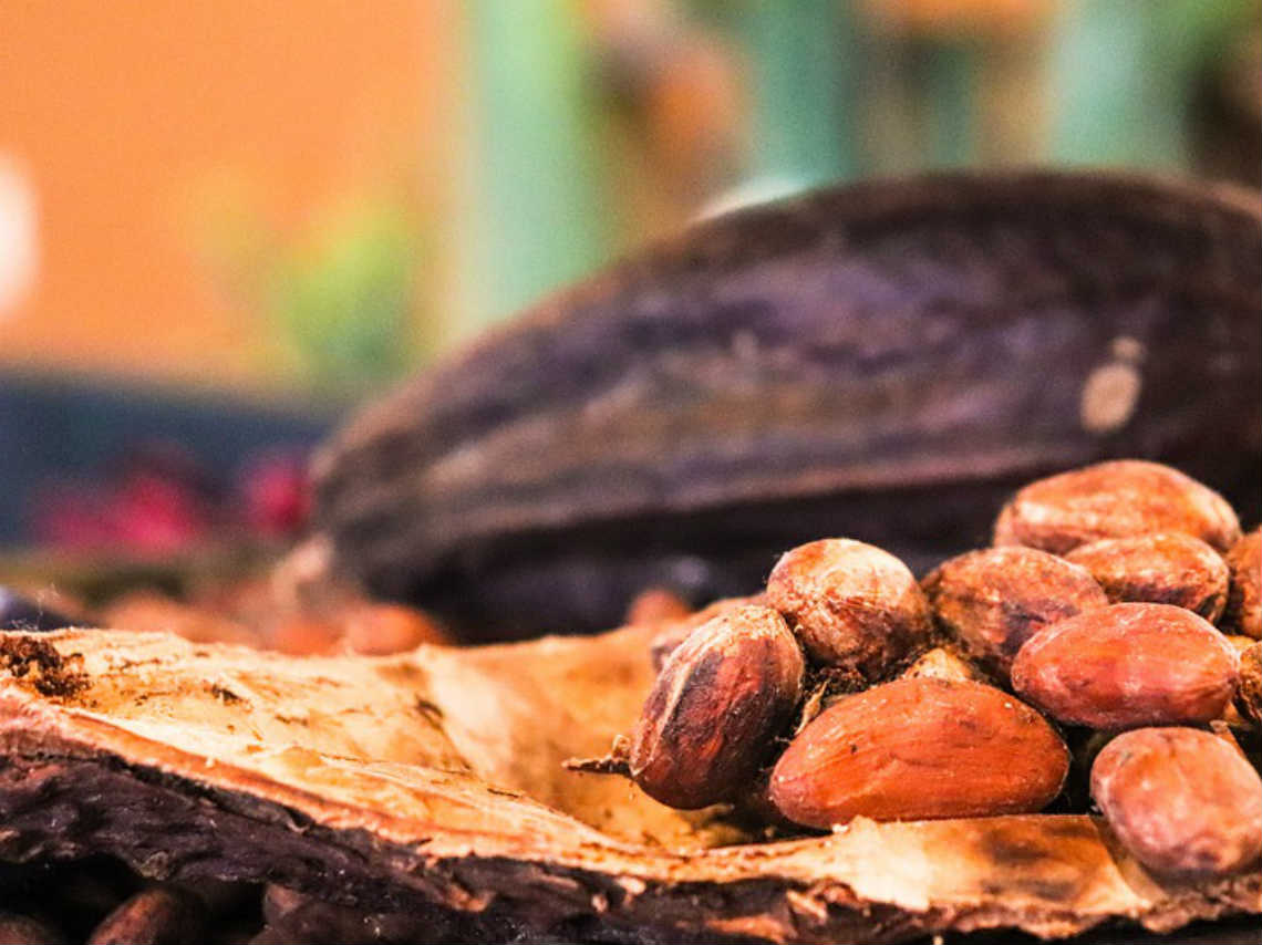 Festival Artesanal de Cacao Para Todos 