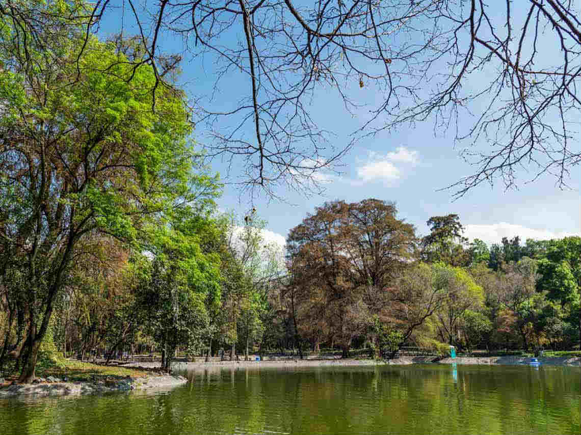 Lugares para refrescarse en CDMX lagos para vacaciones