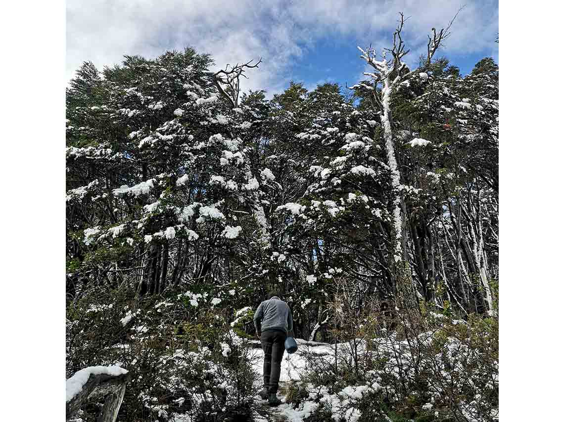 patagonia-donde-ir-16