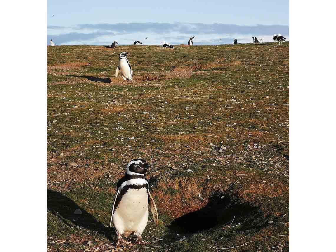 patagonia-donde-ir-36