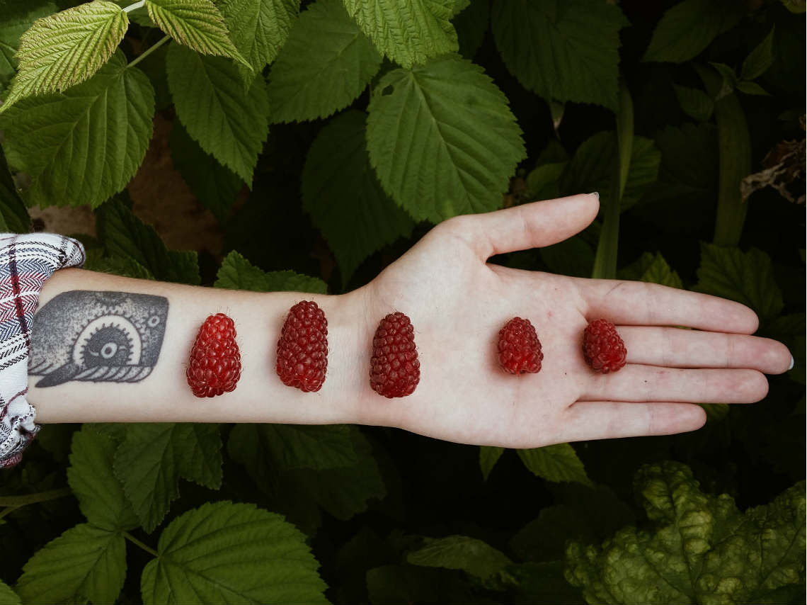 tatuajes-inspirados-libros-mobi
