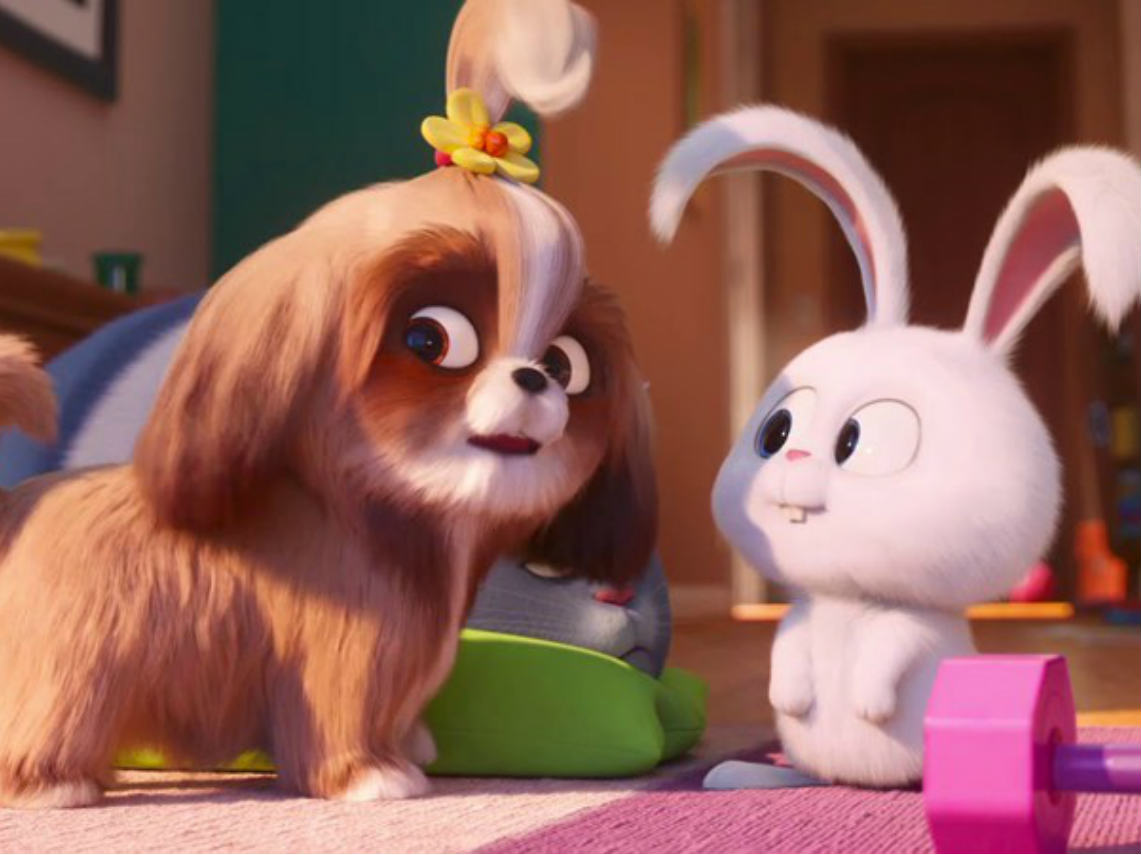 Ve el nuevo tráiler de La vida secreta de tus mascotas 2 y gana un premio