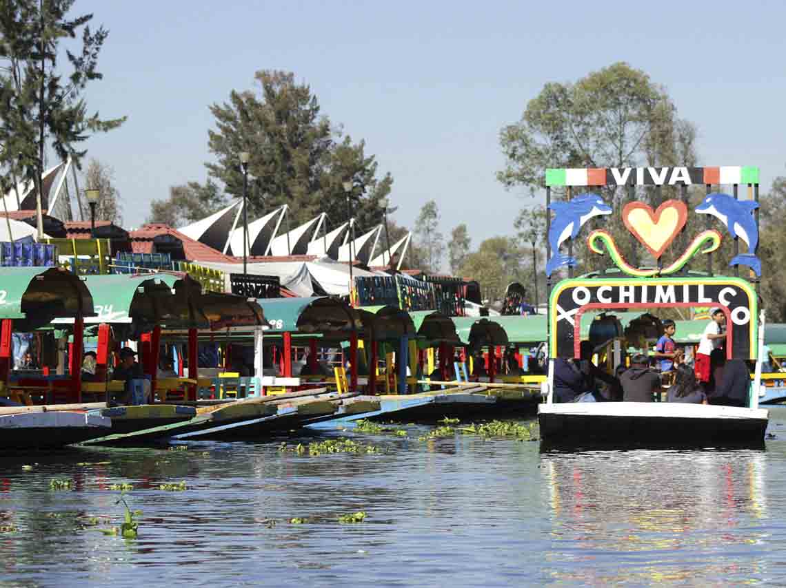 Cine en chinampa, ofrendas ¡y ajolotes! en ‘La Noche del Axólotl’ 1