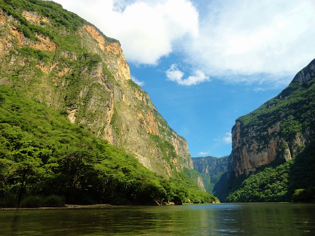 Ecoturismo: viajar de forma sustentable por México 4
