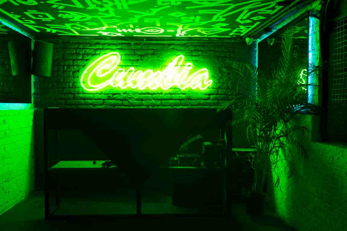 archivo maguey letrero neon