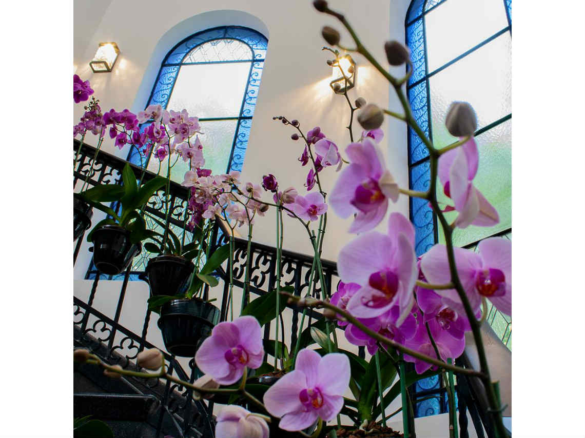 Hotel de Orquídeas en Polanco escaleras flores