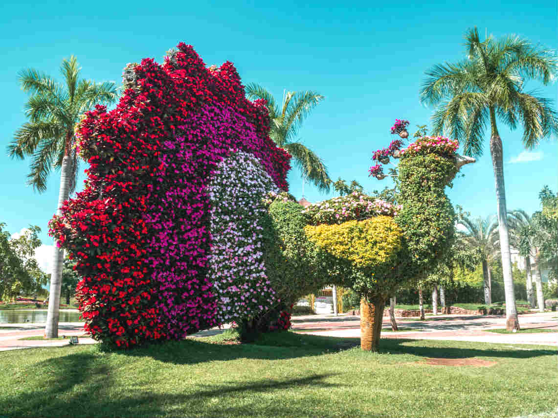 Jardines de México: lo más grandes del mundo