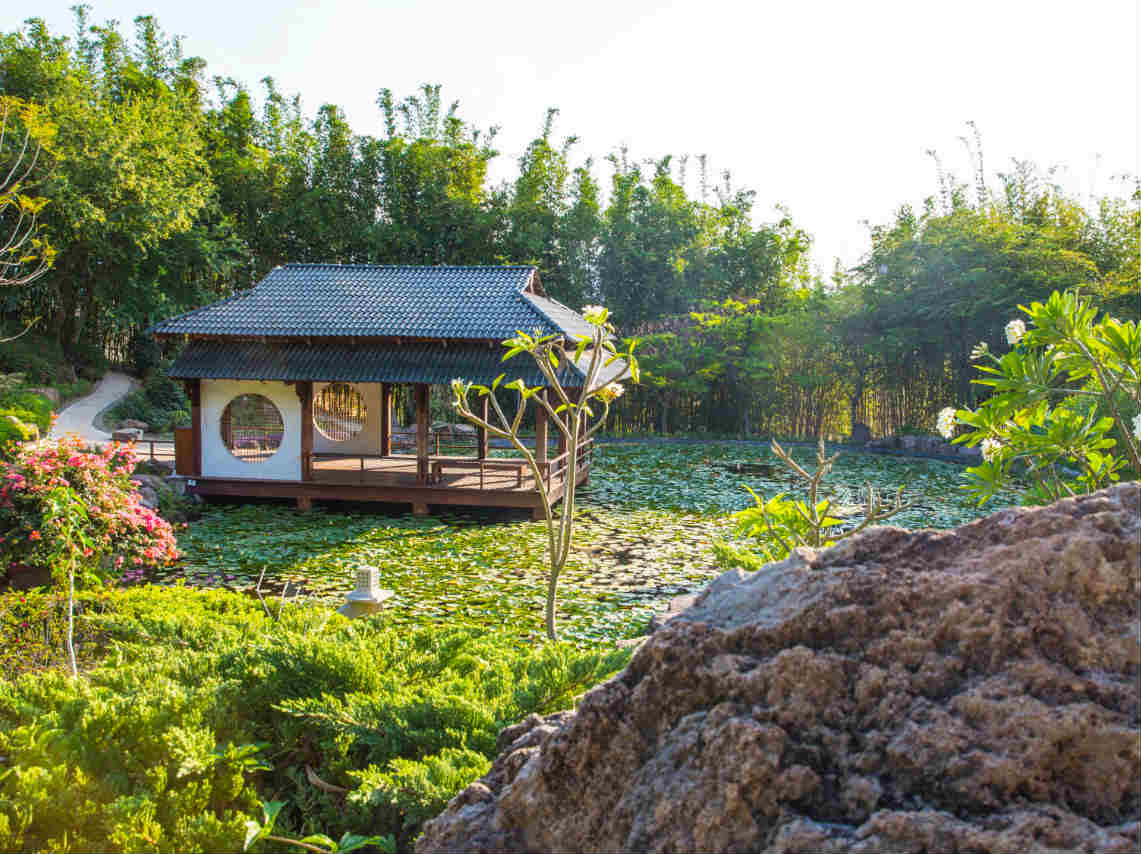 Jardines de México: jardín japonés