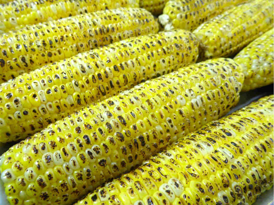 los elotes más grandes del mundo mazorcas gigantes