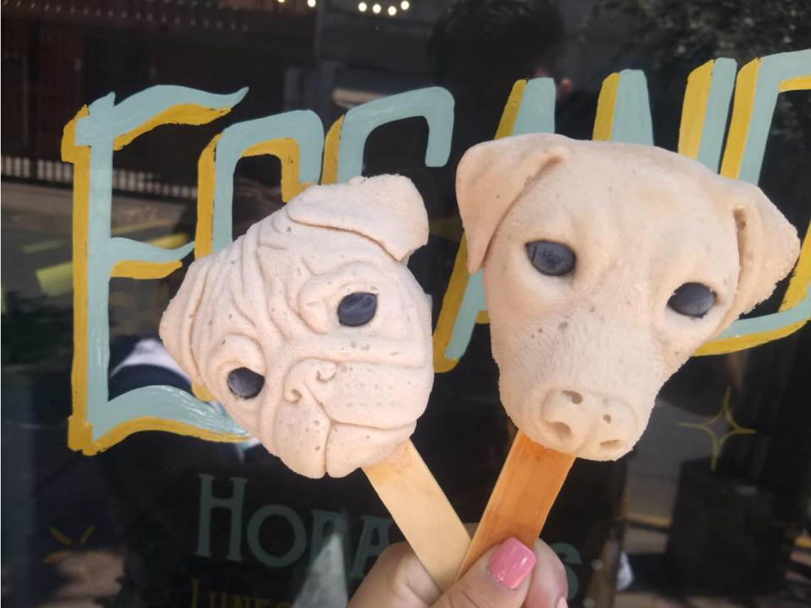 Paletas con cara de Pug y gatitos en Heladería Escandón