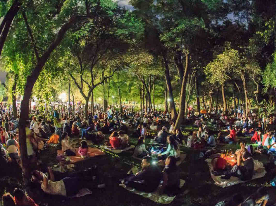 Picnic Nocturno en el Jardín Botánico entrada libre