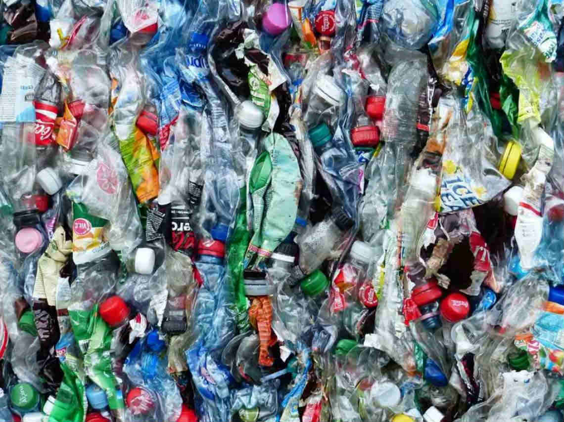 Plastianguis 2019 botellas de plástico