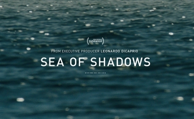 rsz_sea_of_shadows