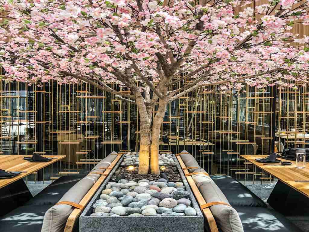 El Jponez tiene cerezos cerca de las mesas los cuales adornan el lugar