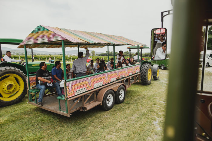 Vive la experiencia del pisado de uva en la Fiesta de la Vendimia 2019