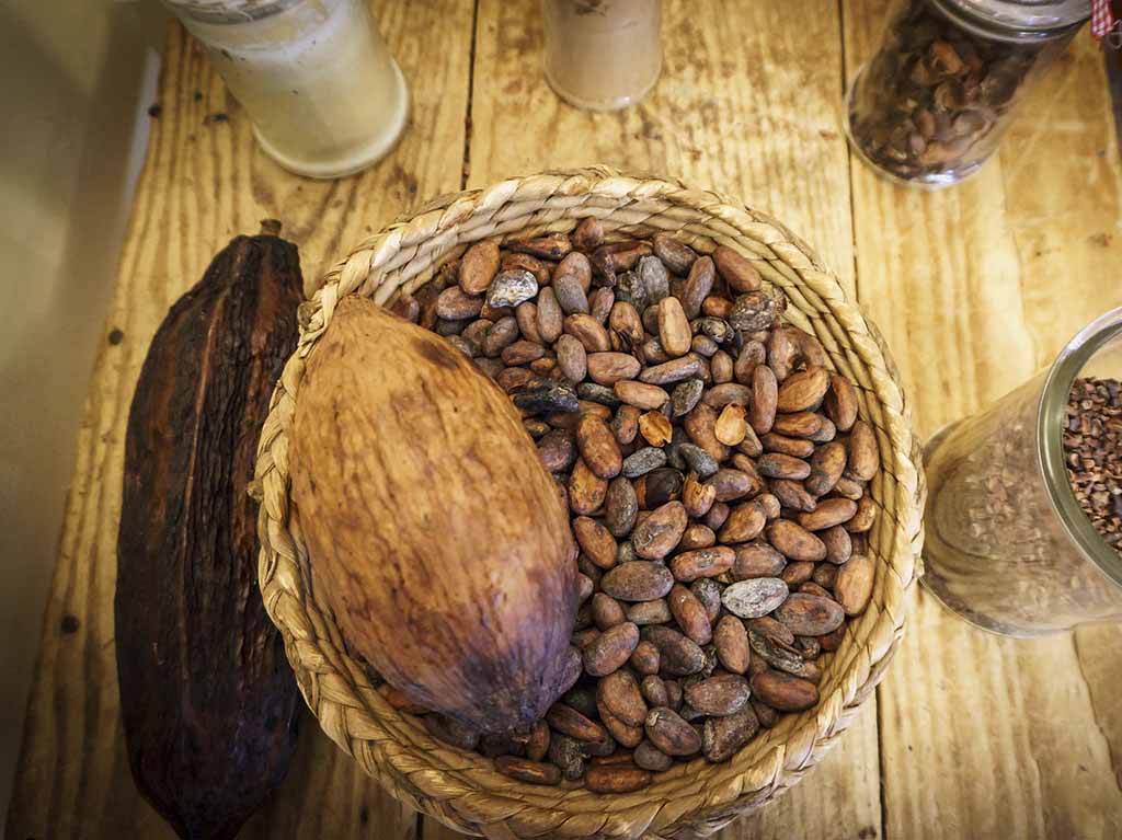 cacao-mucho-museo