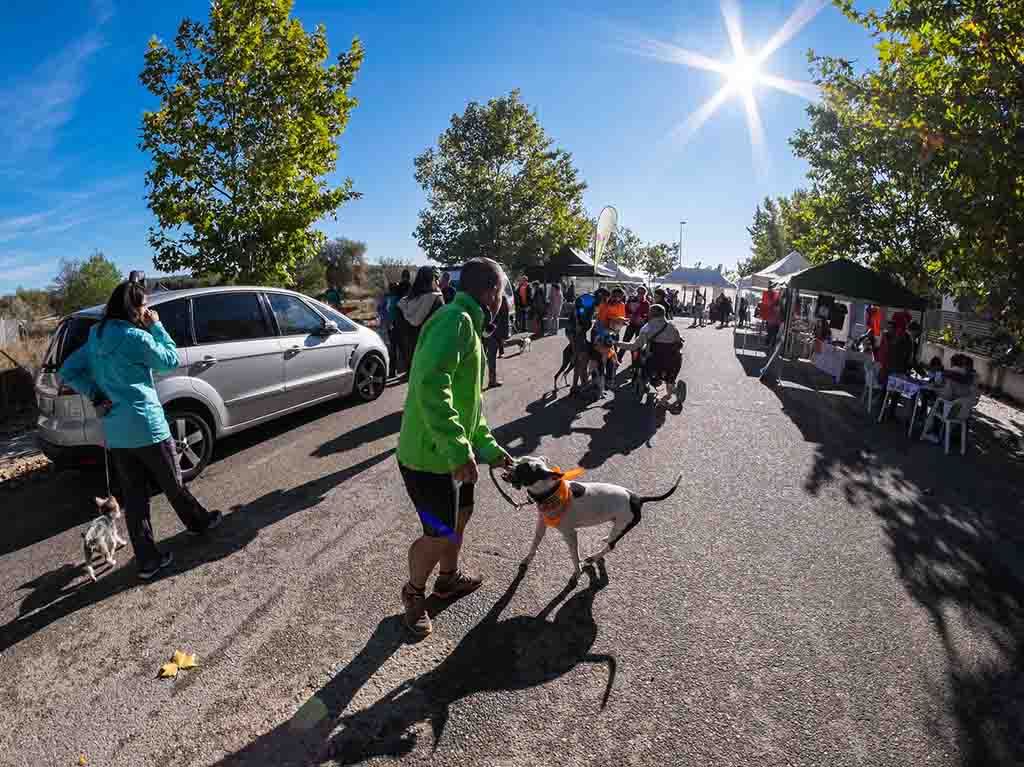 Carrera con causa en Iztacalco: ¡ayuda a los perros en adopción!