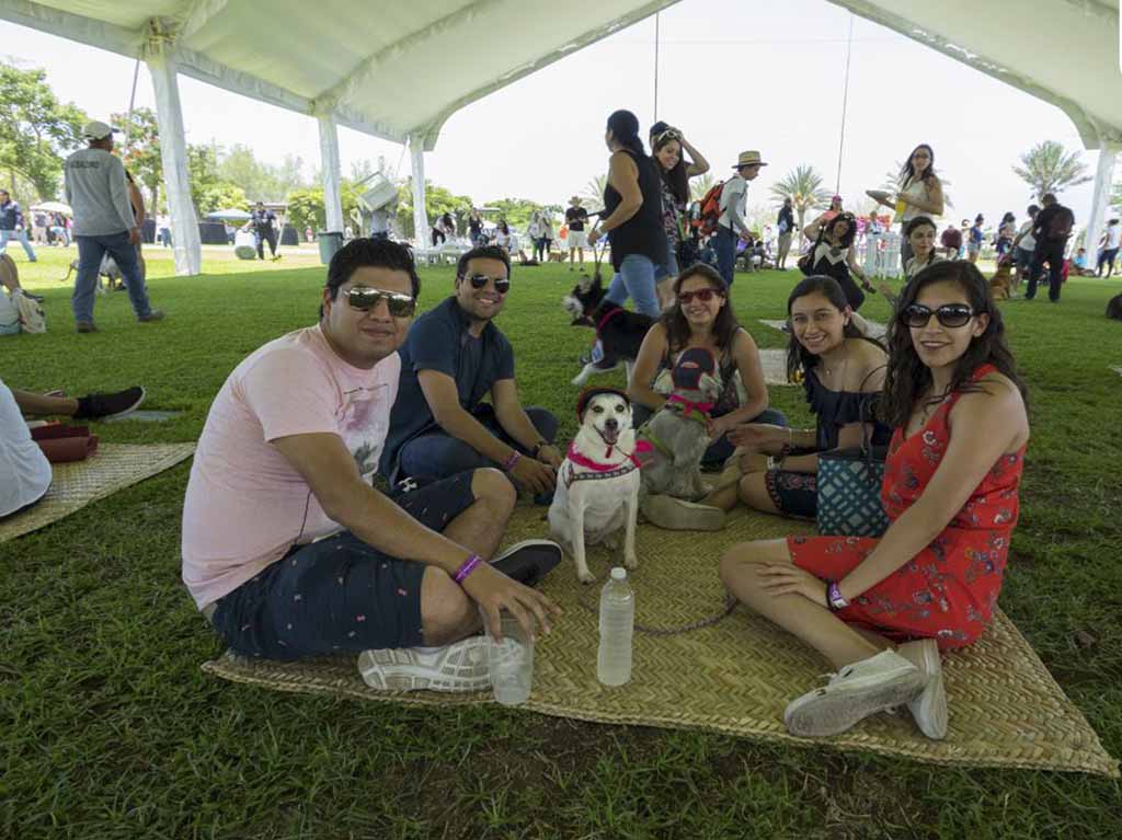 jardines de méxico con perros