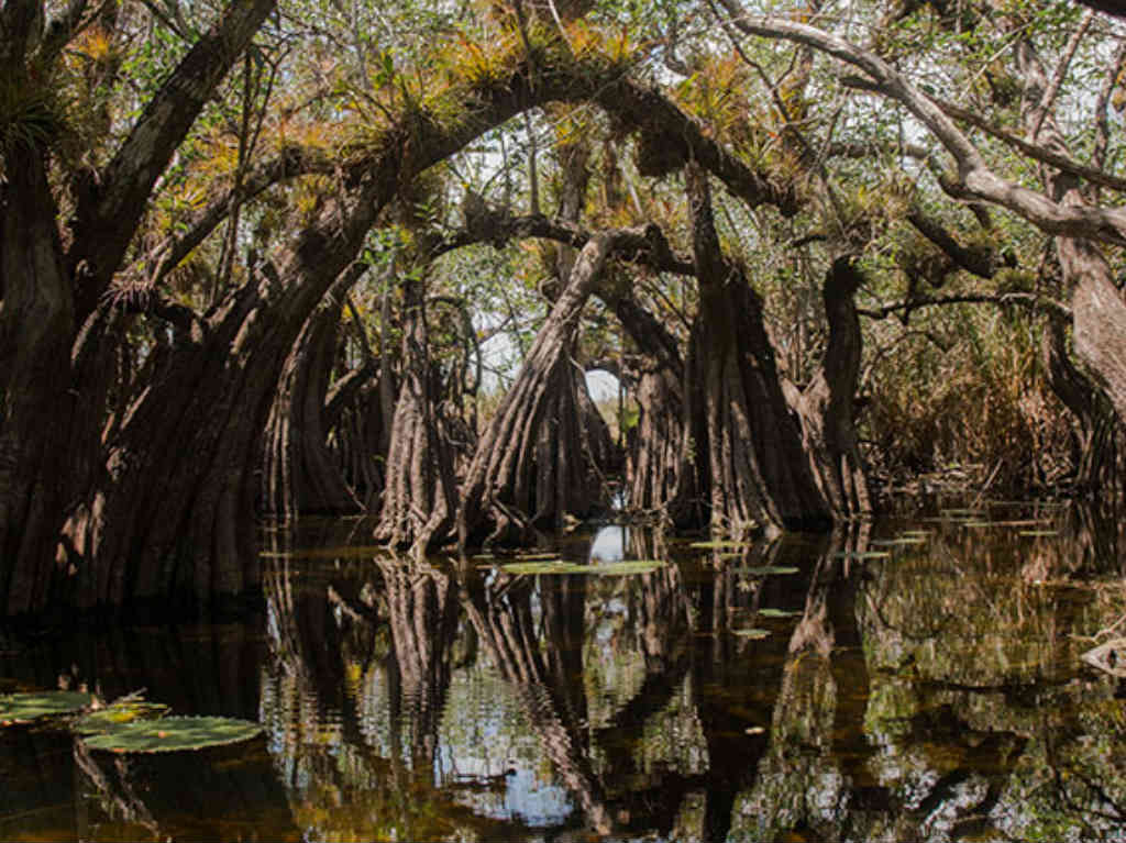 Hotel Awakening Sanctuary espacio natural