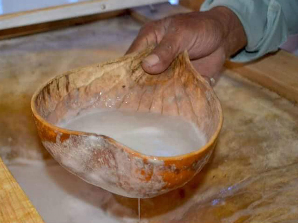 Isla de las Muñecas con pulque