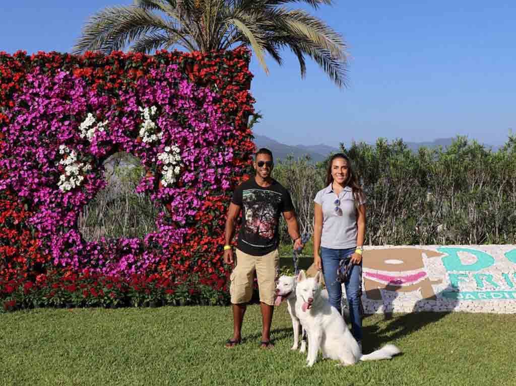 dog friendly jardines de mexico