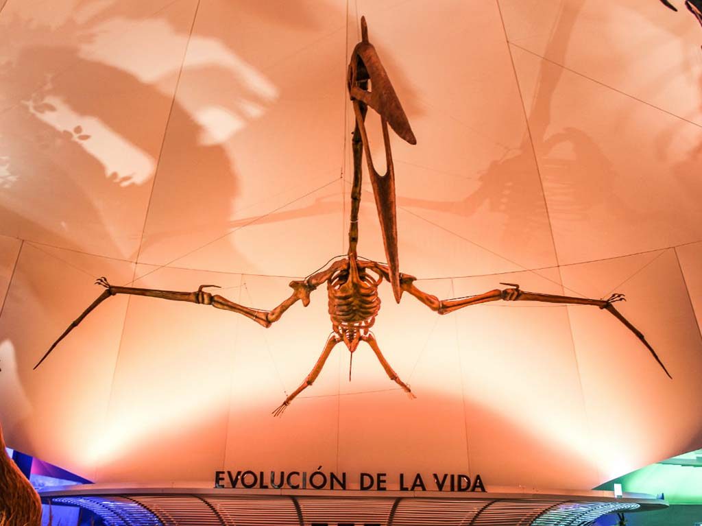 Museo de Historia Natural, un tesoro de Chapultepec