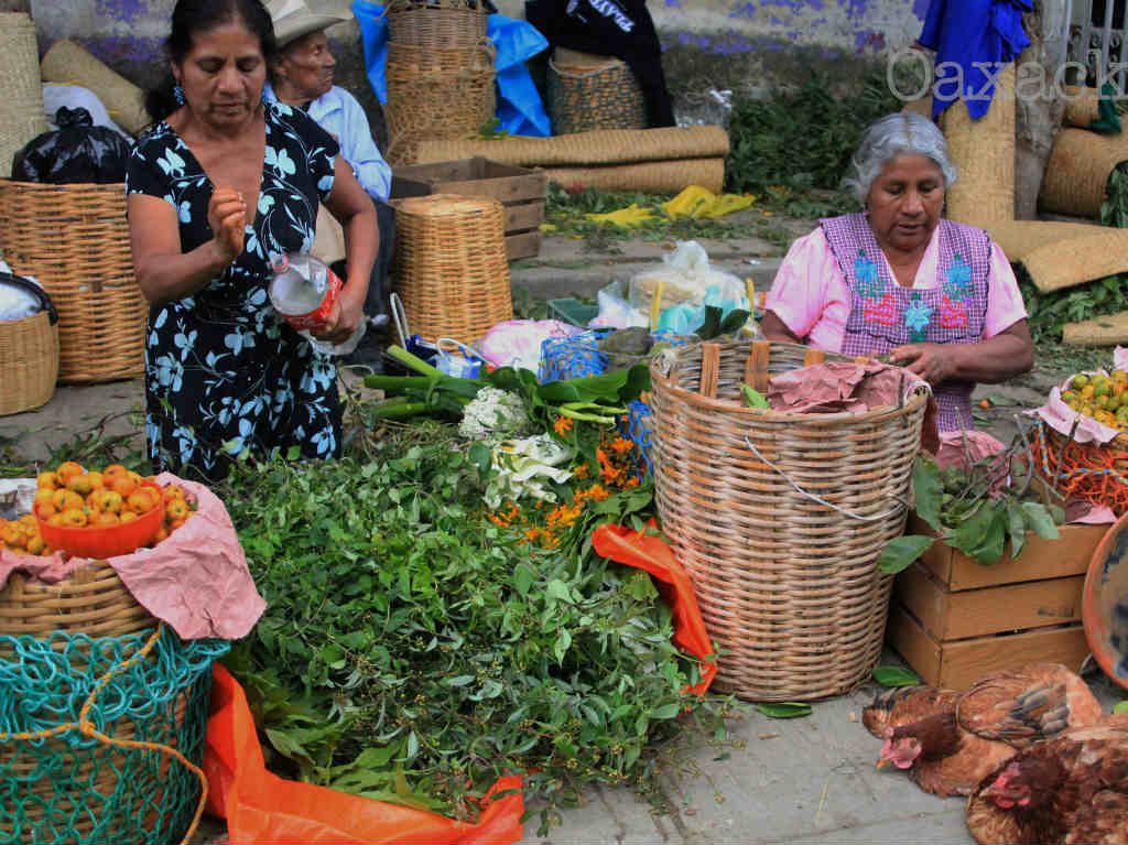 oaxacking comercio y gastronomía