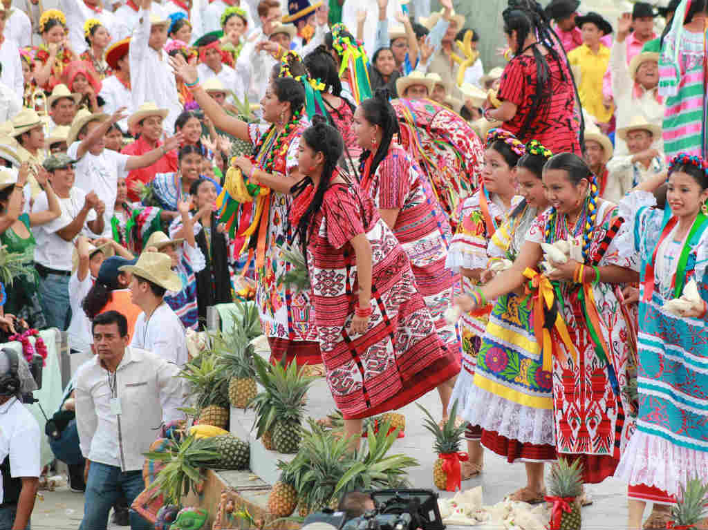 oaxacking live Oaxaca