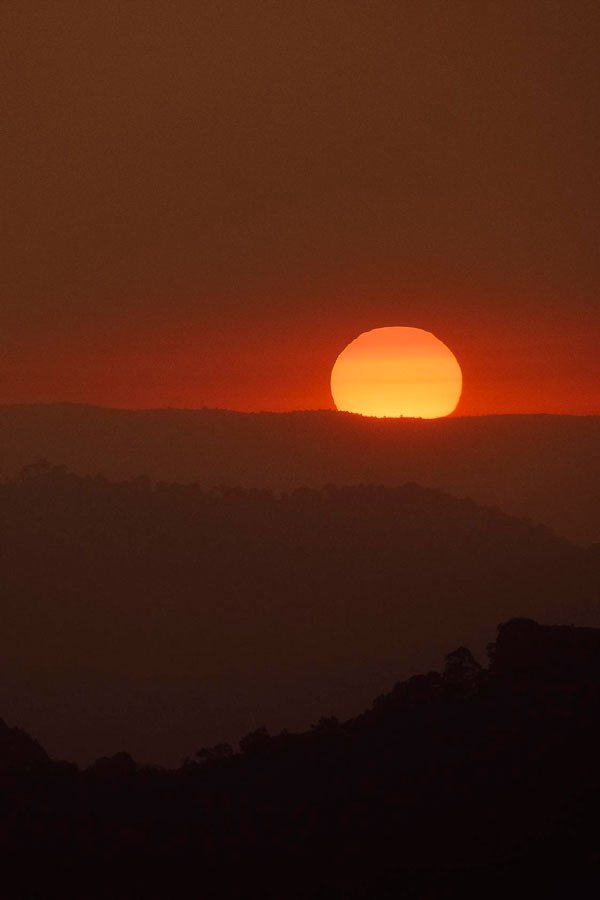 Todo lo que toca la luz: 10 fotografías relacionadas con El Rey León