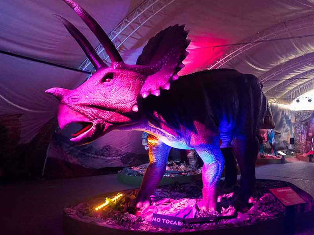 Baby Dinos Encuentro con Dinosaurios Parque Bicentenario