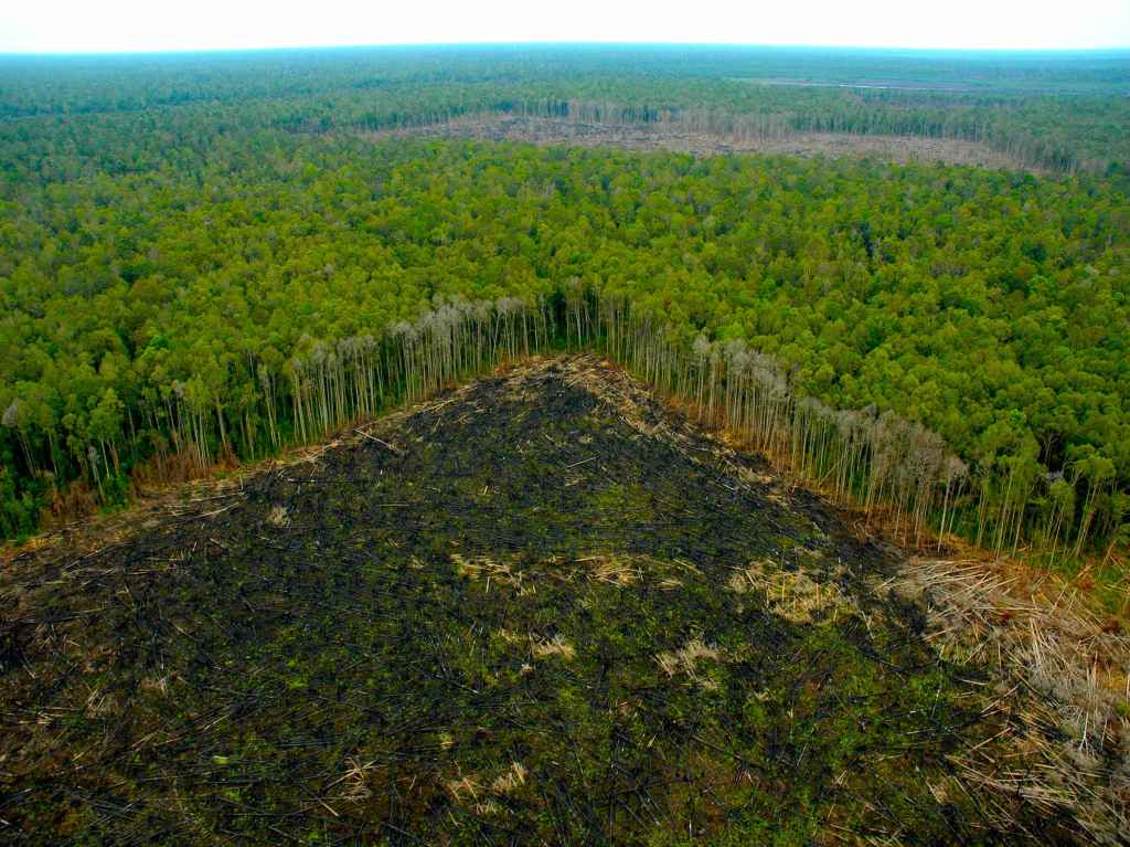 Únete a la Liga contra el cambio climático y ayuda a salvar el planeta