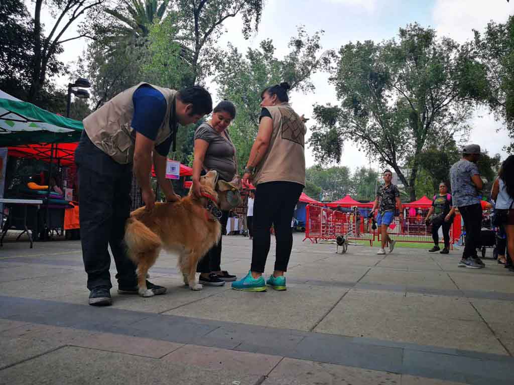 Feria Animalista Jardín Pushkin