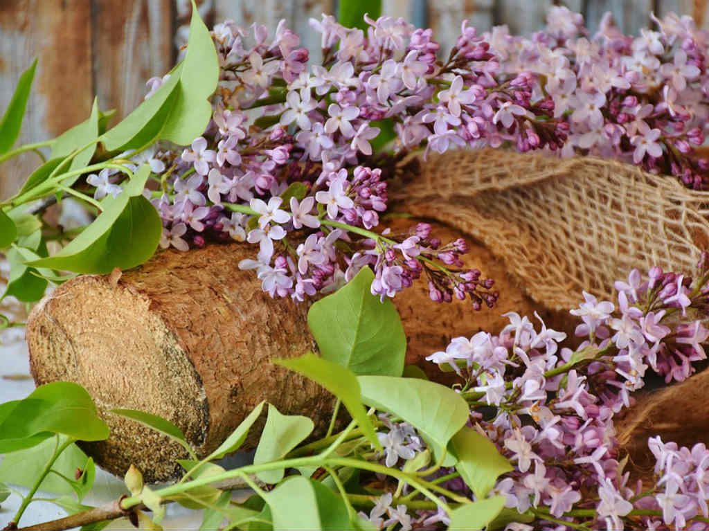 Feria de las Flores arreglos con plantas