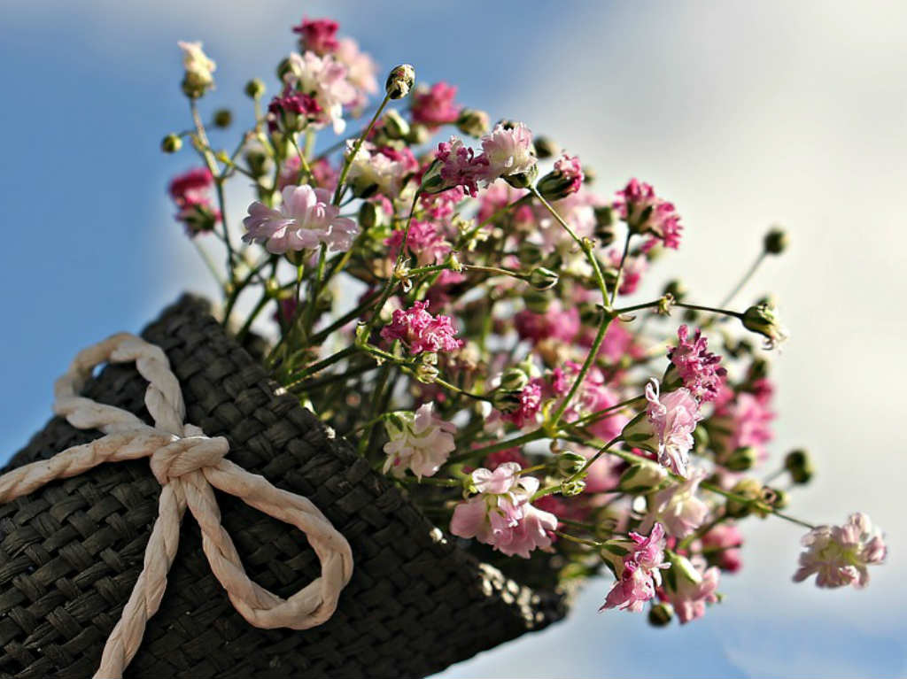 Festival del Jardín talleres